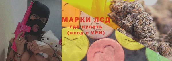 крисы Балахна